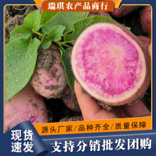 ����߲�����10�����仨�ļtƤ��ɫ�F�����r�����R������lܛŴ