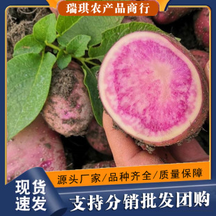 ����߲�����10�����仨�ļtƤ��ɫ�F�����r�����R������lܛŴ