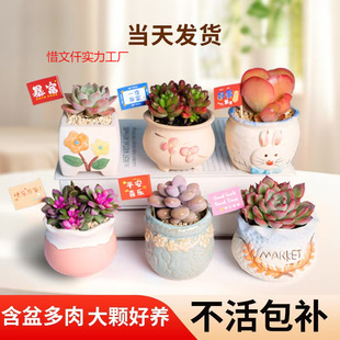 ����ֲ��С���Դ��w���B�Ժðl؛�҃��k������¶�ҵ�����������