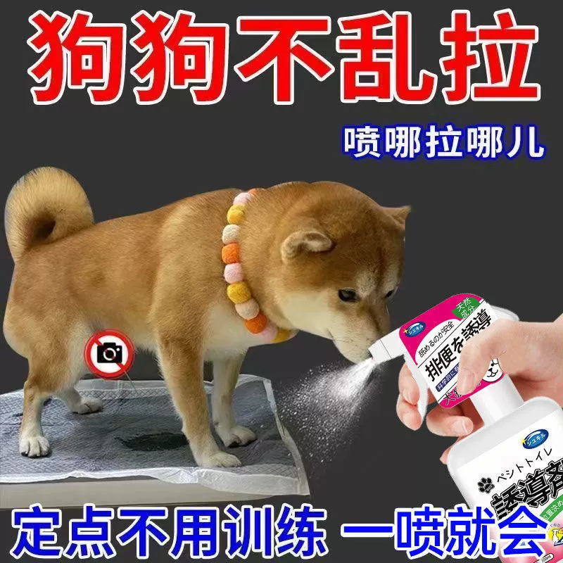 Упражнение мочи на собаке