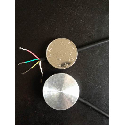 应变式微型土压力计 LY-350型 用于接触压力和土中应力