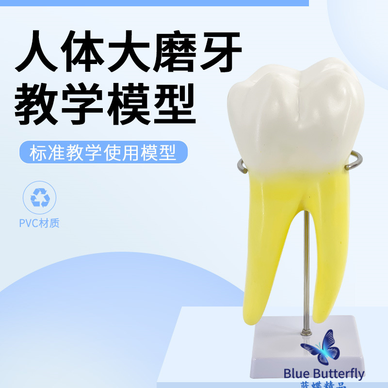 ����ĥ������ģ�� �׶�԰�̾�ҽѧ��ѧ��������ͨ�� �����֧��