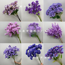 ������c��ɫϵ��·�����ٻ���Y���b�픻��ĵ��Ż����T�b�