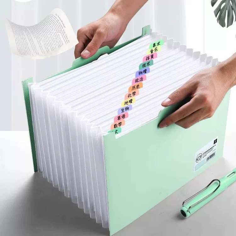 Capacious organ, storage system for documents, folder, storage bag for elementary school students