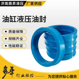 油缸液压油封厂家直供标准数控机械设备密封圈高温骨架油封
