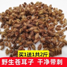 Ұ���n������ș�ĳ��쎧���n���N������������n�������_ɢ�b���]