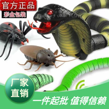 ����֩�����R���b��ëë�x���Є����x�����x늄�������M���