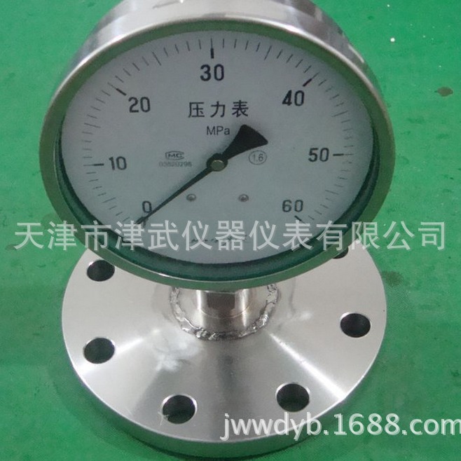 天津泰菲特YTPN-100MF纽泰克不锈钢耐震隔膜压力表 钽膜片 法兰