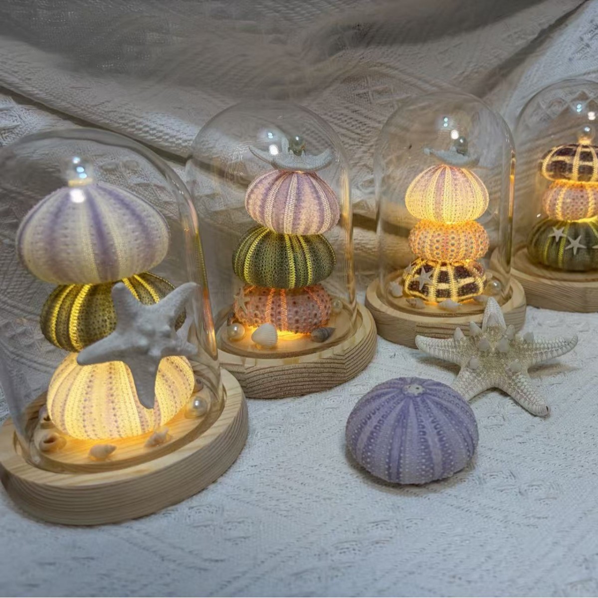 贝壳海胆小夜灯玻璃罩子成品diy材料包团建活动伴手生日礼物摆件