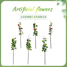 �����֧ˮ�������O�� ˮ���{���������վӼҲ��� ����ˮ����֧