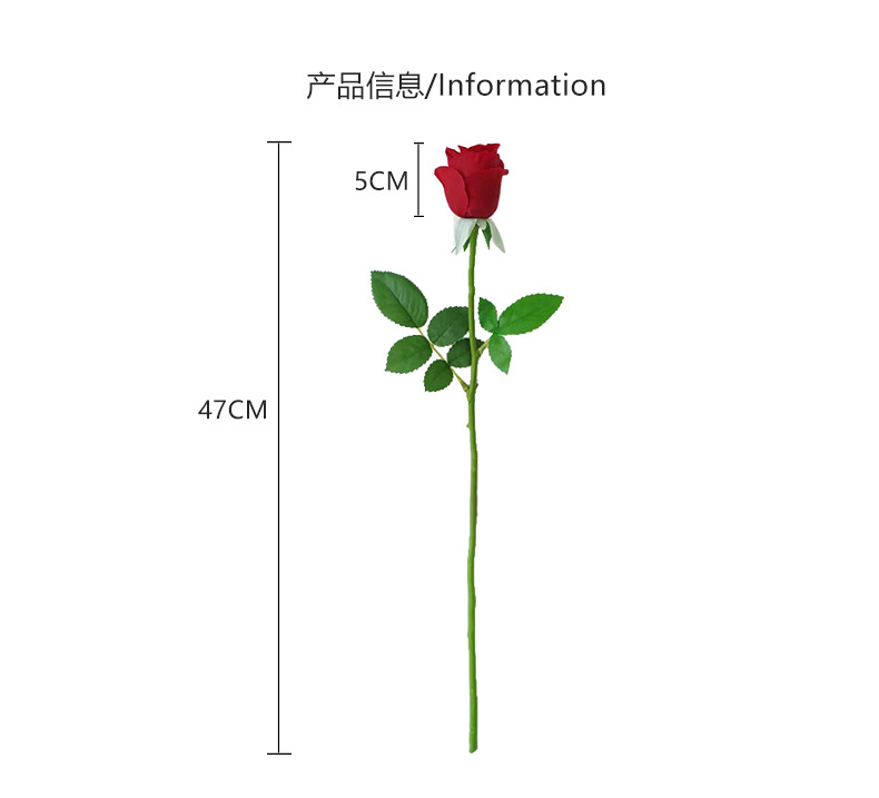 单枝格拉登_04.jpg