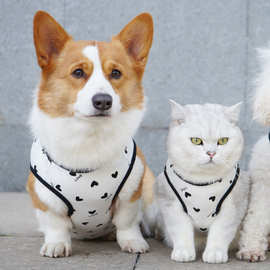薄款防掉毛宠物背心狗狗衣服大型犬泰迪猫咪柯基法斗春夏薄款衣服