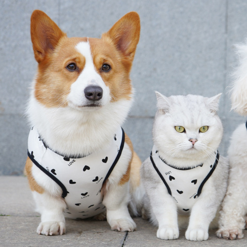 Pet it Thin Pet Vest Anti-Shedding Dog Clothes Large Dog Teddy Cat Corgi French Bulldog Clothing Wholesale