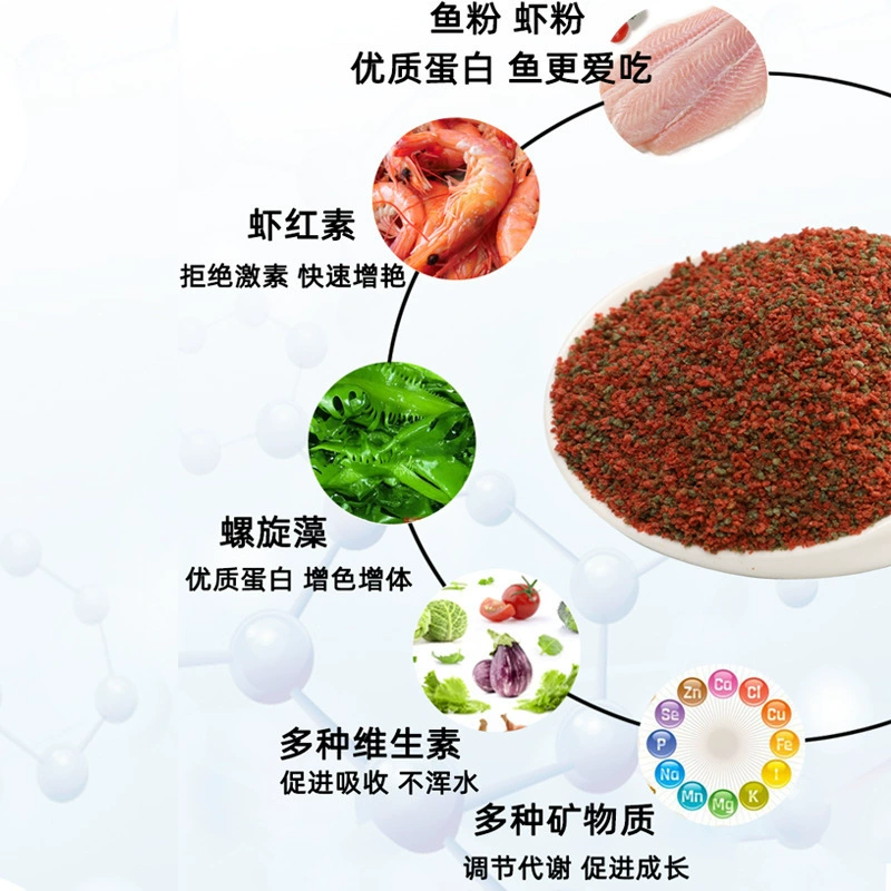 Small Fish Food pellets — high-protein slow-sinking & floating formula, multiple sizes