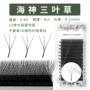 嫁接开花3d睫毛