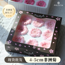 干花玫瑰花非洲菊七夕礼物永生花 diy材料情人节礼物高级感永生花