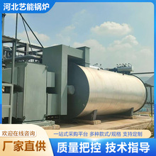 卧式燃气导热油炉 有机热载体锅炉化工厂燃油导热油锅炉