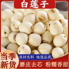 ������̶��ɏ����ș��ɏ��ȥо���rɏ�Ӹ�؛ĥƤ��ɏ�Ҝ�ɏ�Ӹ���