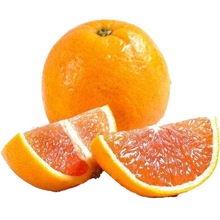 ���A�tѪ�ȳ������rˮ���Ě�Ȏ���9������w�M��Ě��