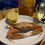 扁蟹大肉蟹薄壳蟹东山岛一手深海沙地蟹餐饮店干锅蟹煲肉蟹棒原料