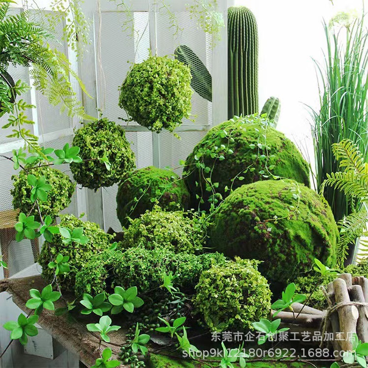 苔藓球