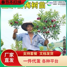 һ�����l���ڼ޽��ش�|����̿��÷�����ϱ����Nֲ���Ե��Թ�����