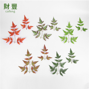 �S�����l����ֲ���ֹ������Gɫ�~���҃��b�����zӡ����ɫ������