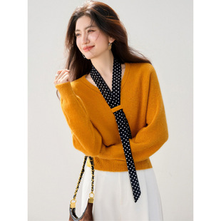 2025¿nϵͨښ|rVIczϵOӋLëŮ