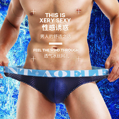 Stylish Low-Waisted Men's Tri-Blend Mesh Summer Briefs with Breathable U-Shape and Ice-Silk Texture Youth Mesh Briefs