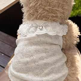 狗狗宠物衣服巴哥胖狗夏款猫咪吊带背心连衣裙子蕾丝蝴蝶结防脱毛