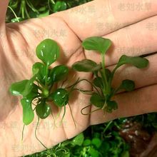 �ػݽ��X��ˮ���~ˮ���~���쾰��������ˮ����Բݑ���ˮ��ˮ��