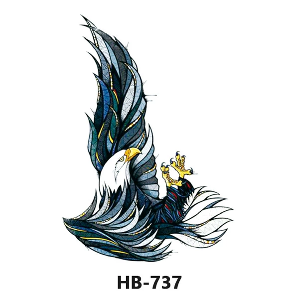 HB-737