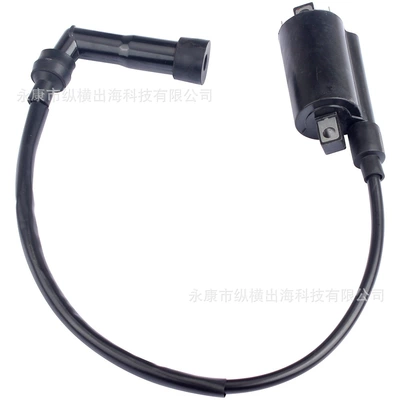 Kawasaki Klr650 2008-2016 üçün 21121-0029 Alışma Bobini