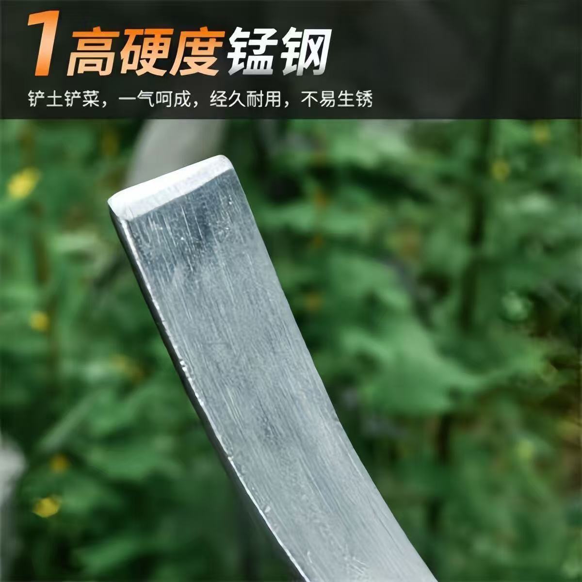 微信图片_20260120102000_9_83.jpg
