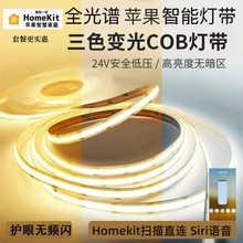 COB灯带套餐支持苹果Homekit直连Siri语音控制三线双色led线条灯