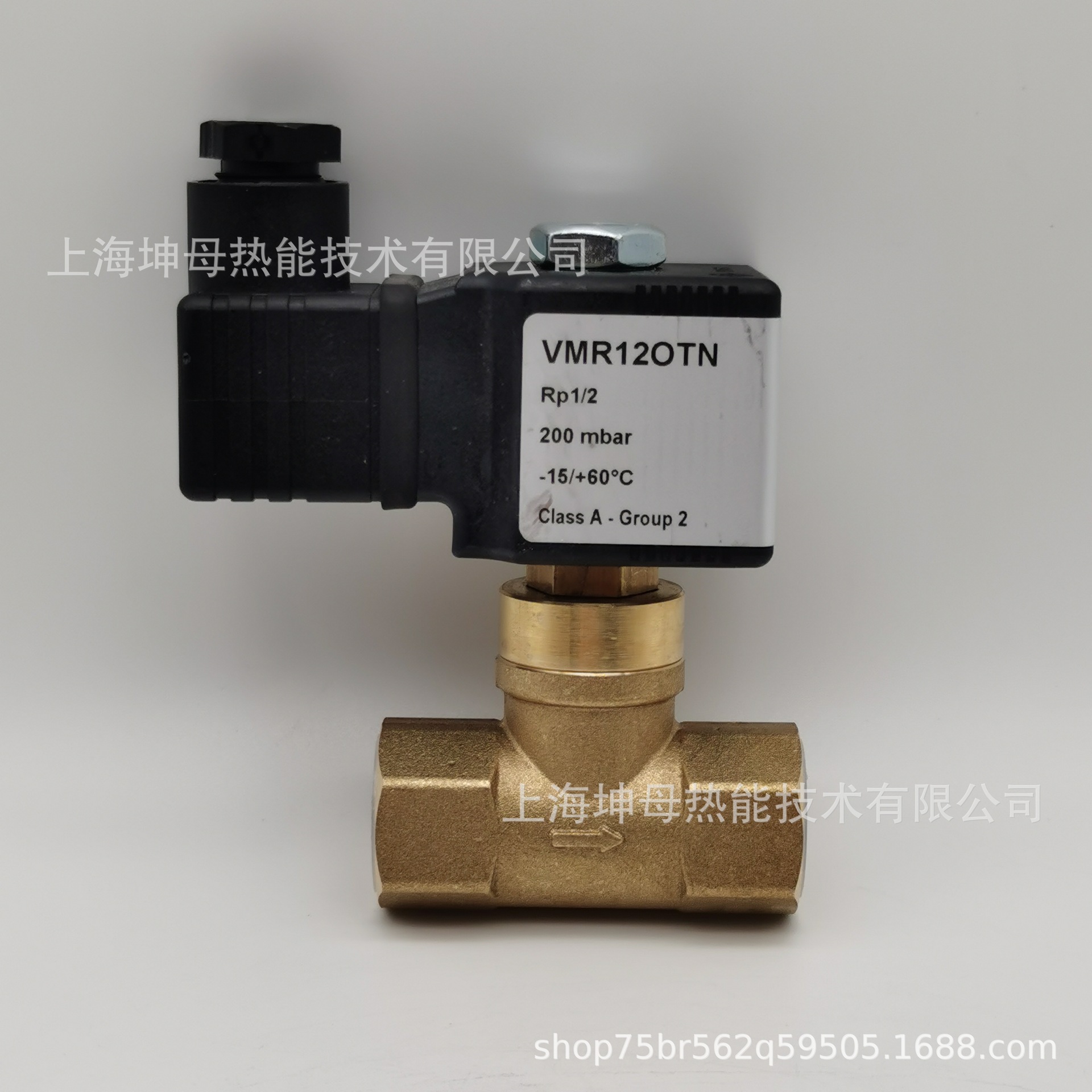 elektrogas伊莱克斯VMR12 OTN DN15蒸汽电磁阀