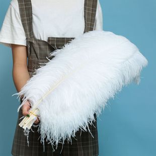 �r�Bë���|60-65cm��ɫ�֗U ��c��̨�b�����[�����r�B��ë���l