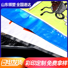 大米袋透明编织袋5kg10斤20公斤装米袋子加厚彩印宠物包装袋定制