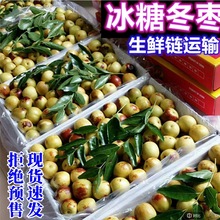 Fժrrˮ𶬗󶬗ЋD]