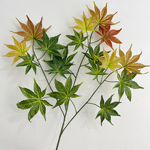 Slߙn~G@ֶݘb~ӾƷuצ