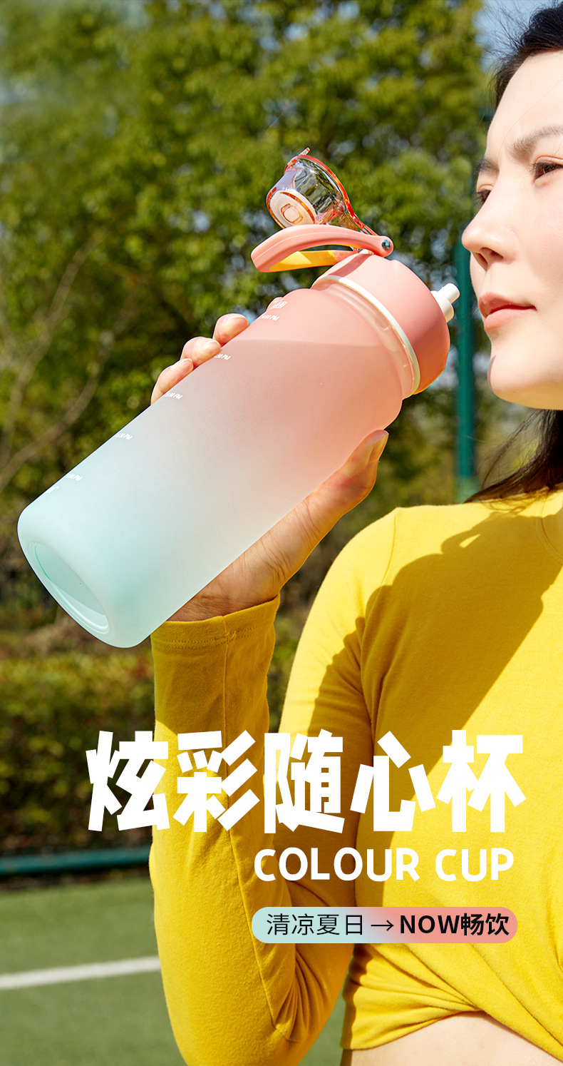 XL-2337-XL-2338_01.png