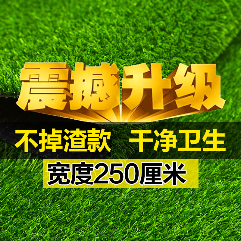 Dixuan 芝生カーペット人工人工芝グリーン屋外装飾フェイクグラスプラスチックマットバルコニー幼児|undefined