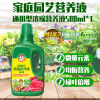 Plant nutrition solution Household -shaped potted plants universal rose hydrodexis, fleshy green Volks, flower liquid fertilizers