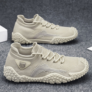 �ļ��m����Ь�w���\��Ь�W��������͸��W�����e��Ь��ʿ2026�¿�
