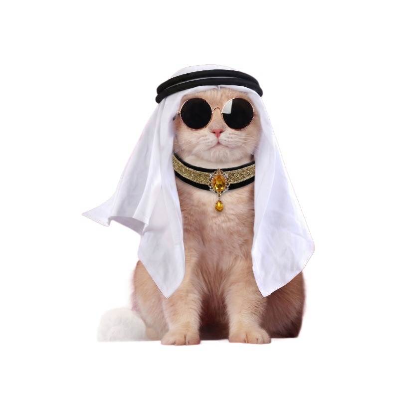 Fábrica de cosplay para mascotas de Halloween, collares de sombreros para mascotas, accesorios para mascotas, artículos de fiesta extraños