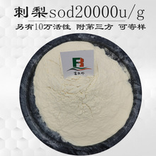 刺梨提取物 刺梨果粉 活性酶SOD20000u/g超氧化物歧化酶 刺梨汁