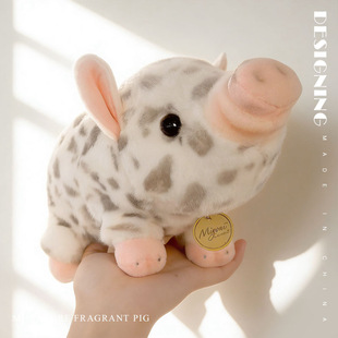 ��R��С���i�����i���﹫��ë�q��߿ɐ�С�i��ż���\�i����