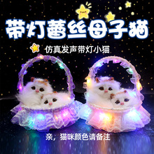 �����ٽz��Ƭĸ��؈�����؈���նY��lС؈ë�q��ߔ[�����l