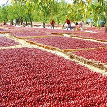 �a��ֱ�l�½���Ǽ�ǟ�Ѭ�t�� ���yÓˮ�������n����t��500g���l