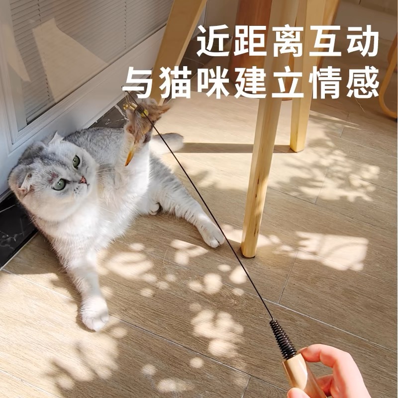 Cat teasing cat stick CFA race self -relieving wooden handle long…